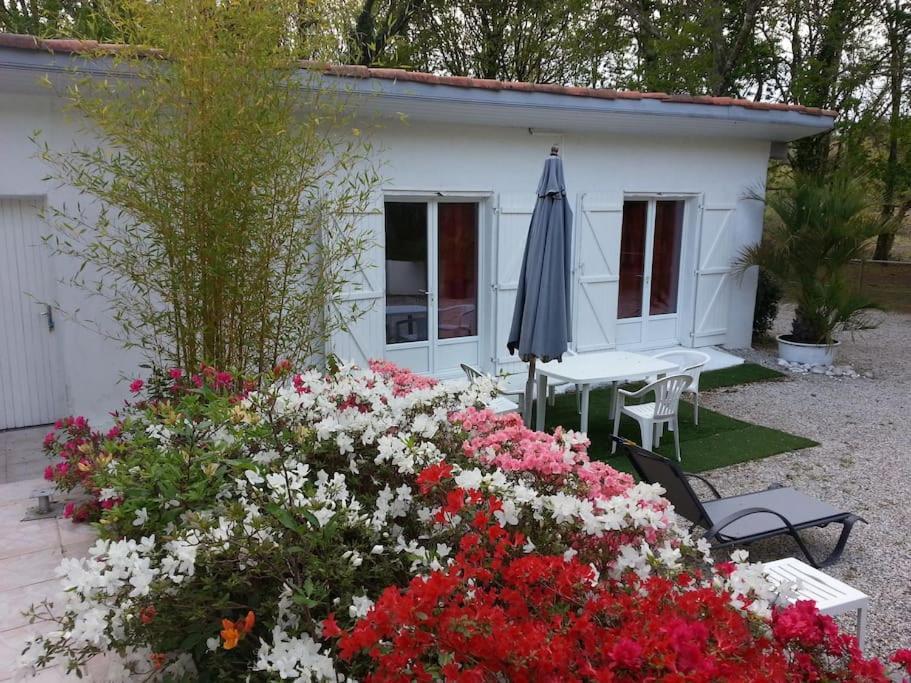 Chalet A Louer Pres De Dax Mees Екстер'єр фото
